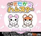 онлайн игра Kisekae Series 3 - Kisekae Hamster