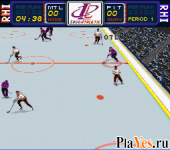 RHI Roller Hockey 95