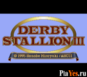   Derby Stallion III