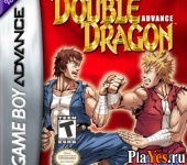   Double Dragon Advance