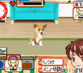   Kawaii Pet Game Gallery